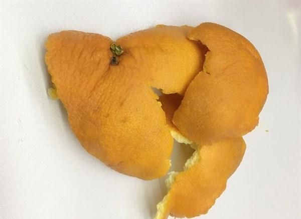 橙子皮做陈皮的正确方法步骤,橙子皮晒干可以做陈皮吗图1